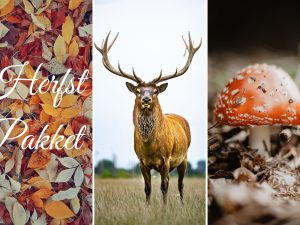 Het Zeeuwse Hert Herfstpakket